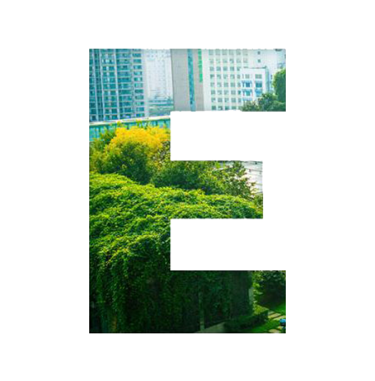 ESG letter E